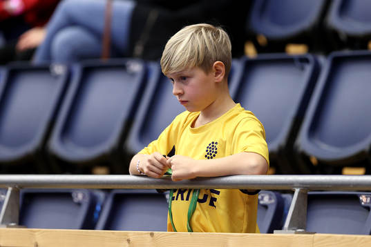 Sweden supporters