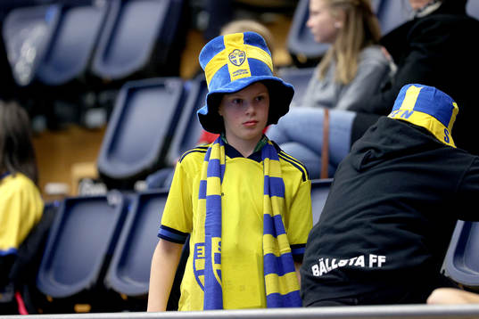 Sweden supporters
