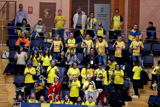 Sweden supporters