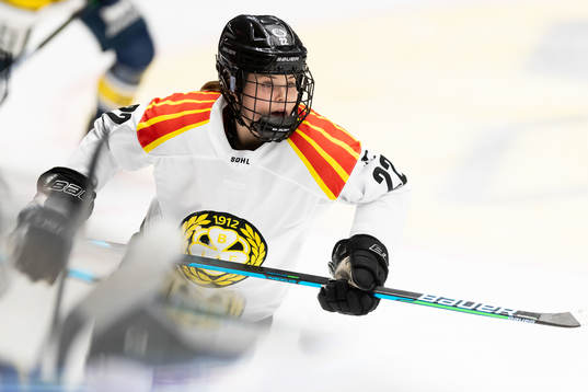 Bläddra bland fler bilder av Ishockey, SDHL, HV71 - Brynäs