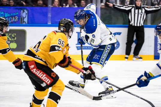 Leksands Lian Bichsel