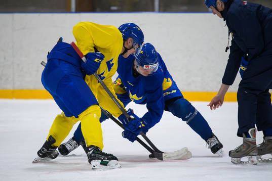 William Eklund and Elliot Ekmark of the Swedish under-20