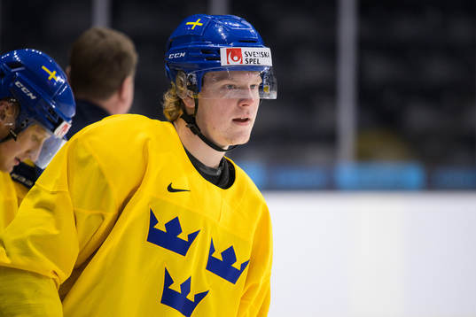 Åke Stakkestad of the Swedish under-20 national ice hockey