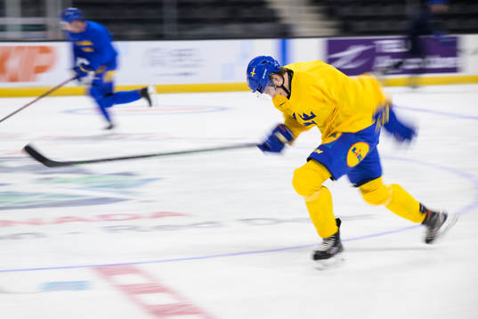Daniel Ljungman of the Swedish under-20 national ice hockey