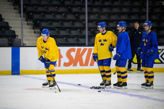 Åke Stakkestad, Oskar Magnusson, Emil Andrae and William
