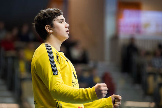 Guifs målvakt Marko Roganovic jublar
