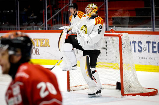 Brynäs målvakt Veini Vehviläinen jublar vid slutsignalen