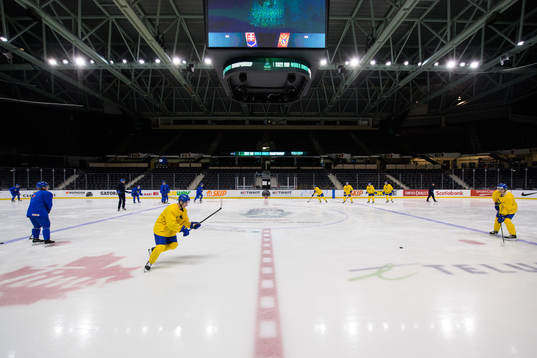 Players of Sweden at a training session