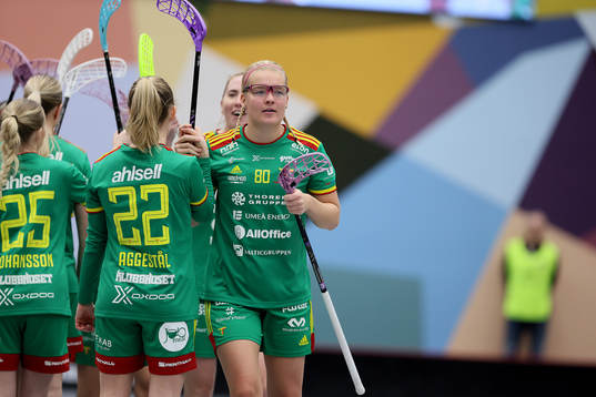 Thorengruppens My Kippilä