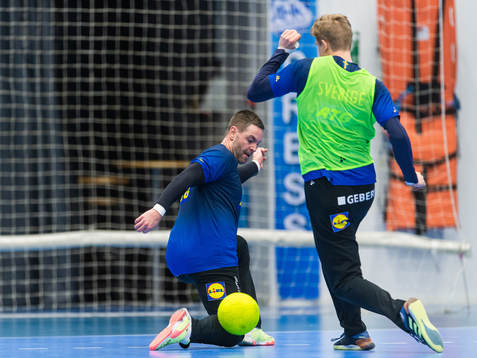 Goalkeeper Andreas Palicka