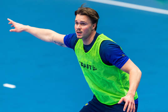 Emil Mellegård