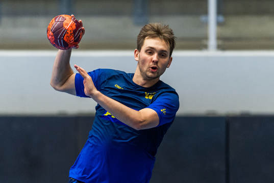 Hampus Wanne
