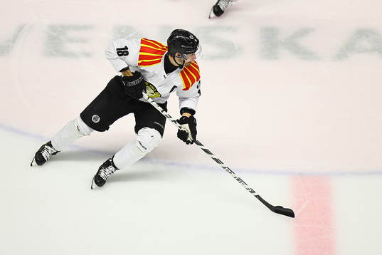 Brynäs Anton Rödin