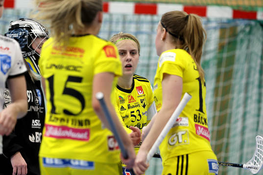 Endres kapten Elin Roos gör 1-3