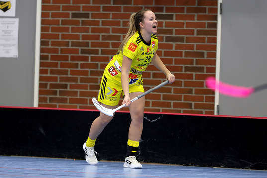 Endres Felicia Wallin