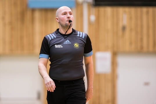 Domare Mahir Mehmedovic