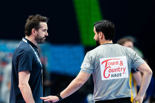 Guillaume Gille, head coach of France