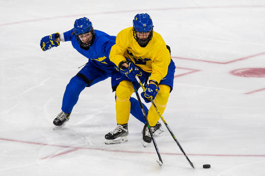 Linnéa Andersson and Mina Waxin of Sweden women's ice