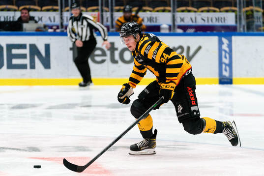 Skellefteås Linus Karlsson