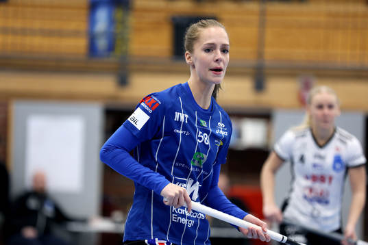 Karlstads Lisa Rengärde