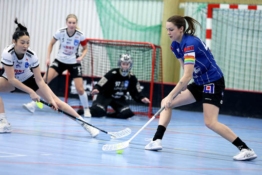 Bläddra bland fler bilder av Innebandy, SSL, Nacka - Karlstad