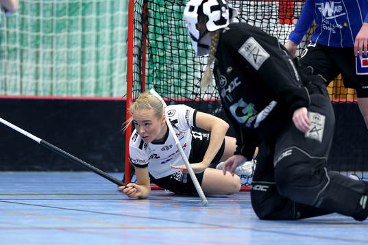 Nackas Amanda Boric-Svärd