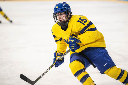 Lisa Johansson of Sweden in the women's ice hockey game