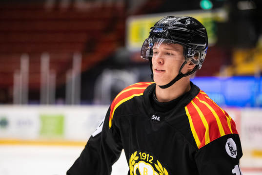 Brynäs Joel Holmi