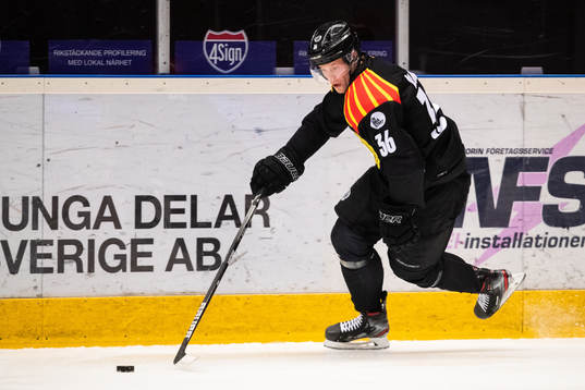 Brynäs Linus Ölund