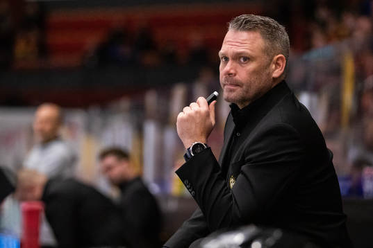 Brynäs assisterande tränare Mikael Holmqvist