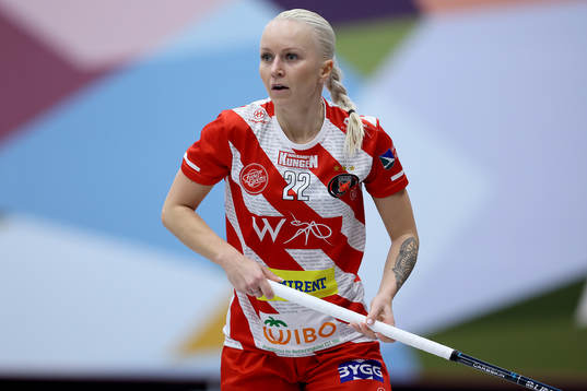 Pixbos Laura Manninen