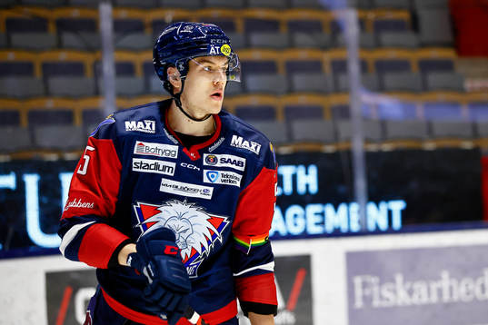 Linköpings Roberts Mamcics