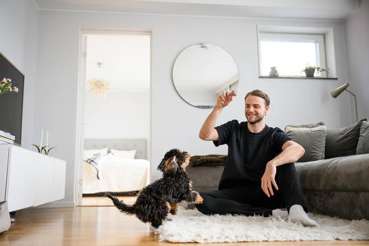 GAIS Gustav Lundgren leker med sin hund Harry