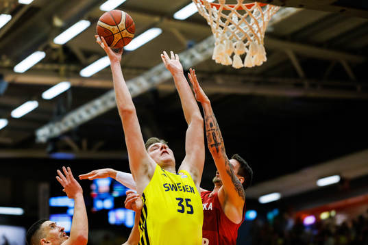 Simon Birgander of Sweden