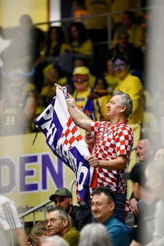 Spectator celebrates