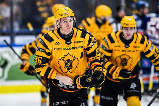 Skellefteås Rickard Hugg deppar