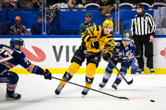 Skellefteås Stefan Loibl