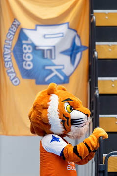 Kristianstads maskot Krutis