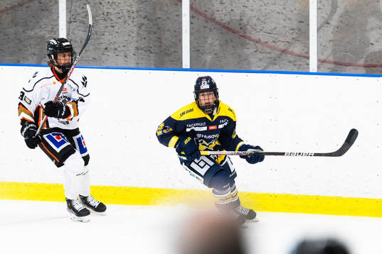 s Sanni Hakala