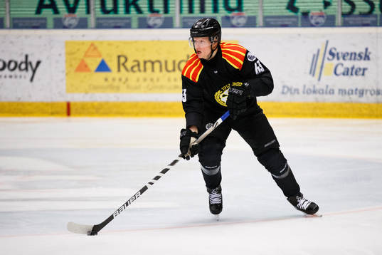 Brynäs Julius Bergman