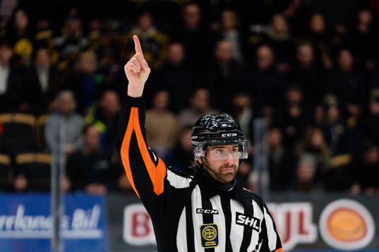Domare Mikael Sjöqvist