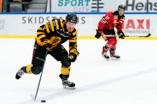 Skellefteås Michael Kapla  och Luleås Isac Brännström