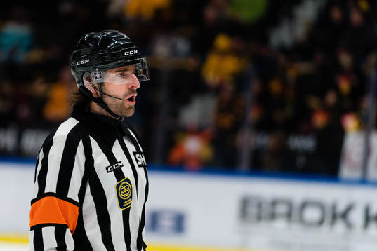 Domare Mikael Sjöqvist