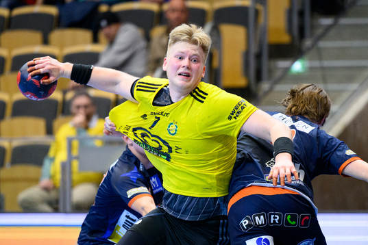 Sävehofs Felix Möller