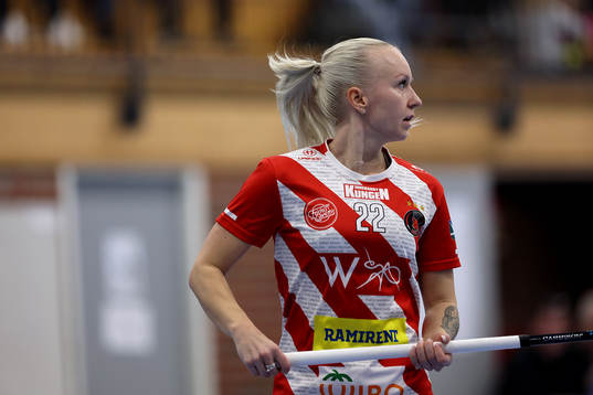 Pixbos Laura Manninen