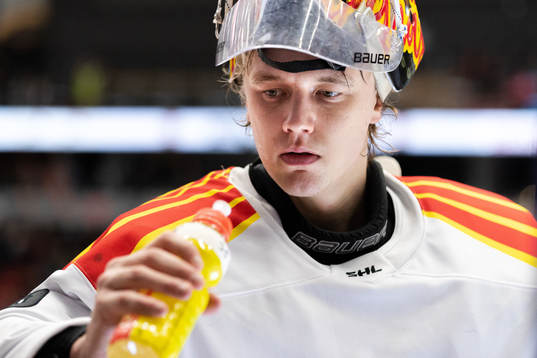 Brynäs målvakt Veini Vehviläinen