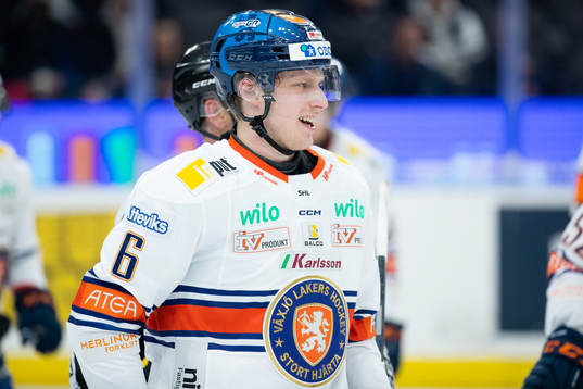 Växjös Theodor Johnsson