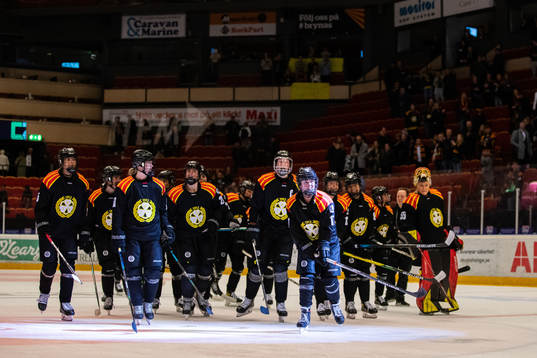 Brynäs spelare jublar