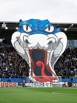 Tifo