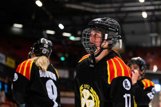 Brynäs Jaycee Gebhard deppar